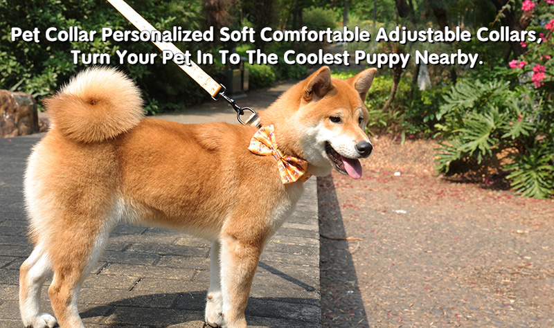 OKEYPETS - Fabrikspris Lav MOQ Designer Professionelle Halsbånd til Hvalpe Til Små Hunde Kæledyrshalsbånd 7