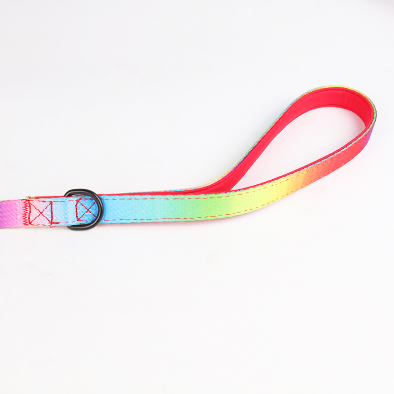 Harnais pour chien Okeypets personnalisé avec impression, réglable, respirant et rembourré en maille aérée, avec laisse. Collier pour animaux de compagnie. 16