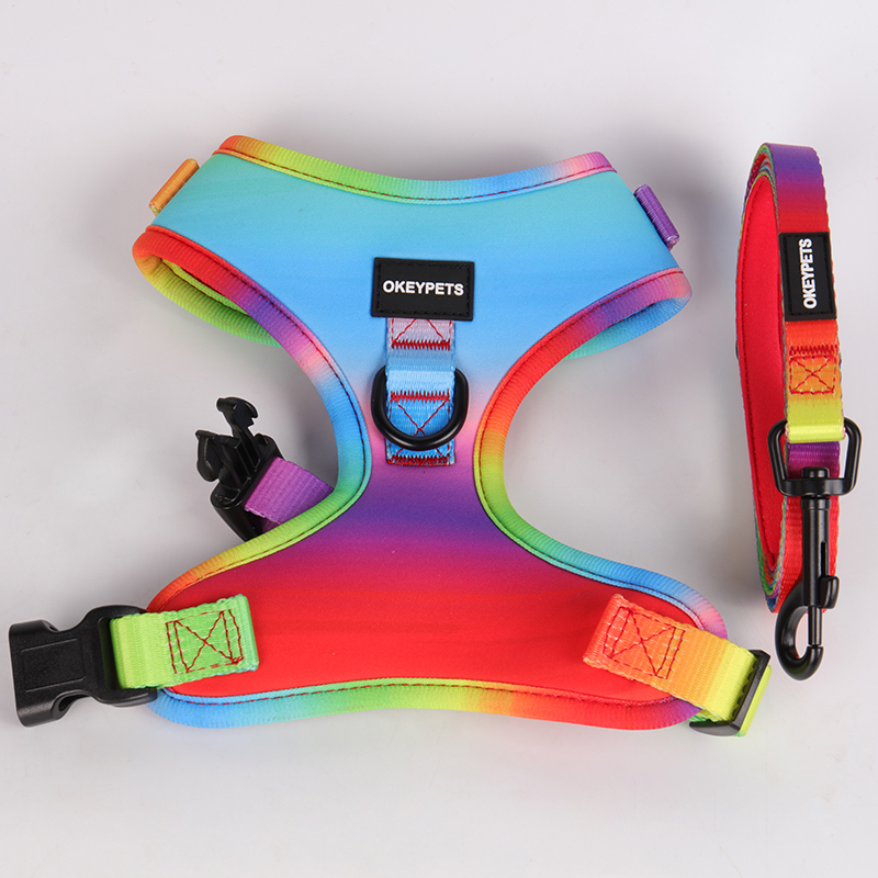 Harnais pour chien Okeypets personnalisé avec impression, réglable, respirant et rembourré en maille aérée, avec laisse. Collier pour animaux de compagnie. 8