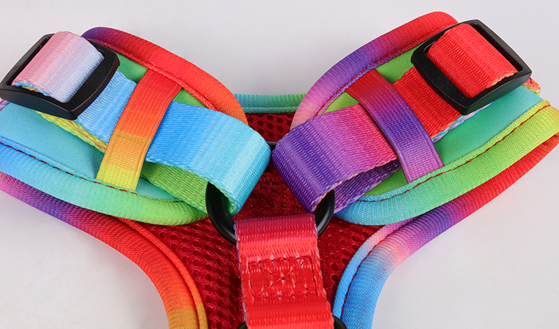 Harnais pour chien Okeypets personnalisé avec impression, réglable, respirant et rembourré en maille aérée, avec laisse. Collier pour animaux de compagnie. 17