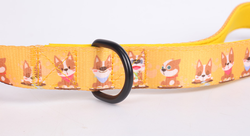 Tali Produk Haiwan Peliharaan OKEYPETS Harga Berdaya Saing Percetakan Logo Tersuai Tali Lari Anjing Panjang Bernafas Lembut Tali Haiwan Peliharaan 12