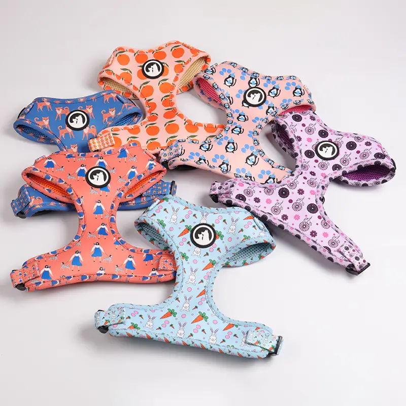 OKEYPETS - Acessórios para Cães OKEYPETS, Coleira Peitoral Ajustável de Neoprene Macio para Cães, Design Personalizado 1