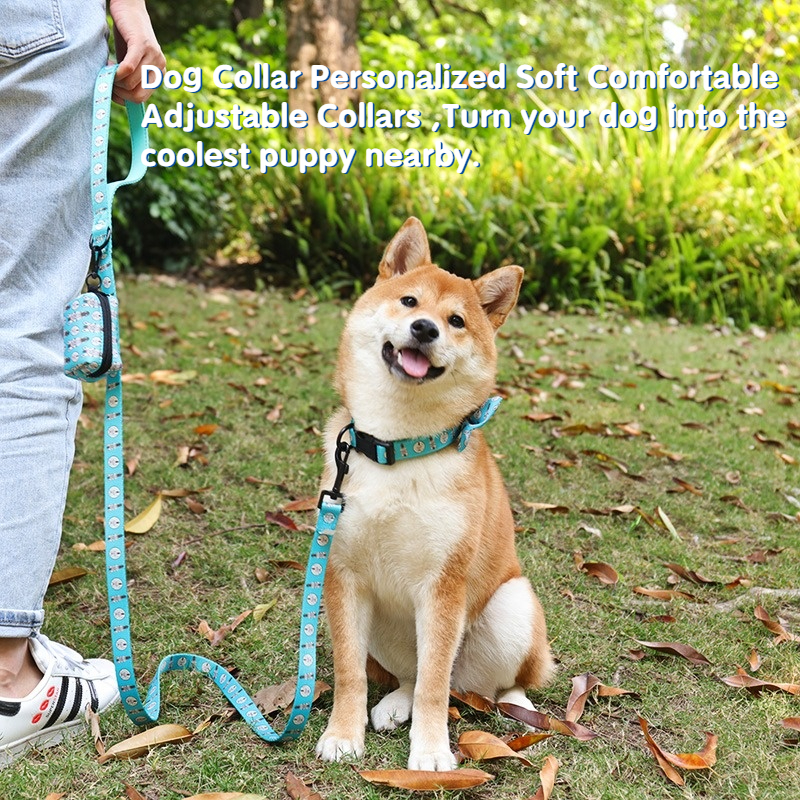 OKEYPETS Fabricants de colliers pour chiens en gros, motif par sublimation, collier et laisse robustes 7