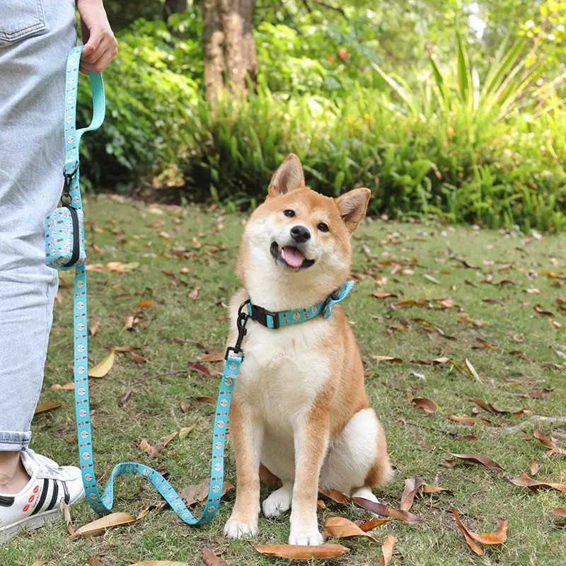 OKEYPETS - OKEYPETS Íseal-MOQ Patrún &amp; Méid Saincheaptha Stíl Uathúil Láidir le Búcla Miotail Tacar Coiléar agus Iall Madraí Tacar Iall/Úim Madraí 1