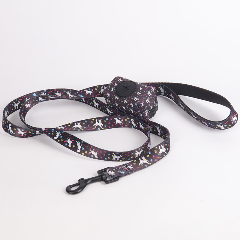 Laisses pour animaux OKEYPETS - Motifs personnalisés - Sécurité - Douce - Laisse personnalisée 7