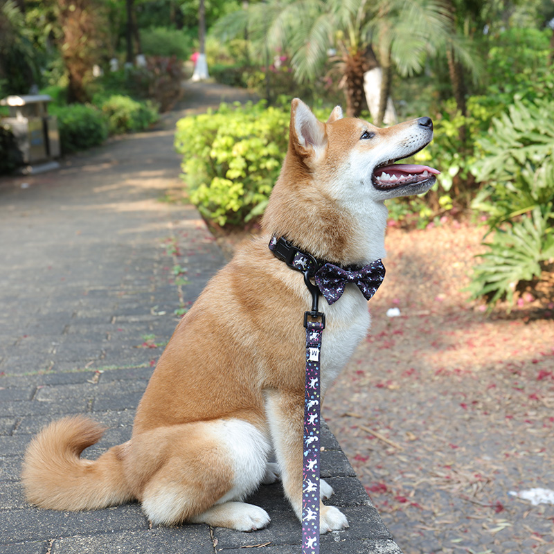 OKEYPETS Bulk Wholesale Luxury Adjustbale Comfortable Private Label Pet Dog Leash 6