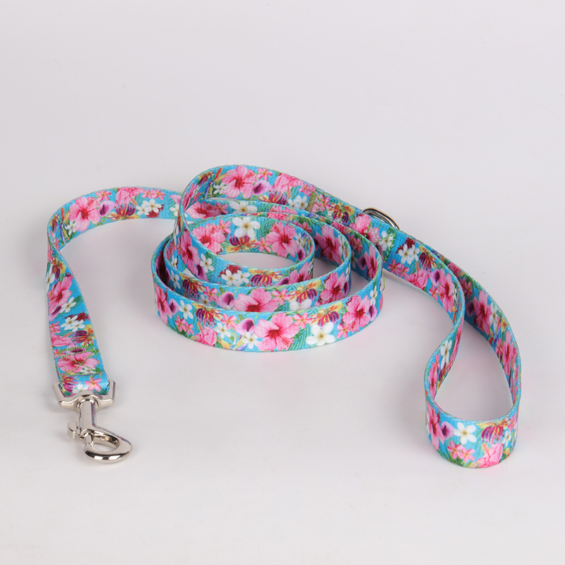 OKEYPETS - Laisse pour chien OKEYPETS en polyester durable, sûre et confortable, avec motif confortable et imprimé personnalisé. Laisse d'été pour chien en polyester. 11