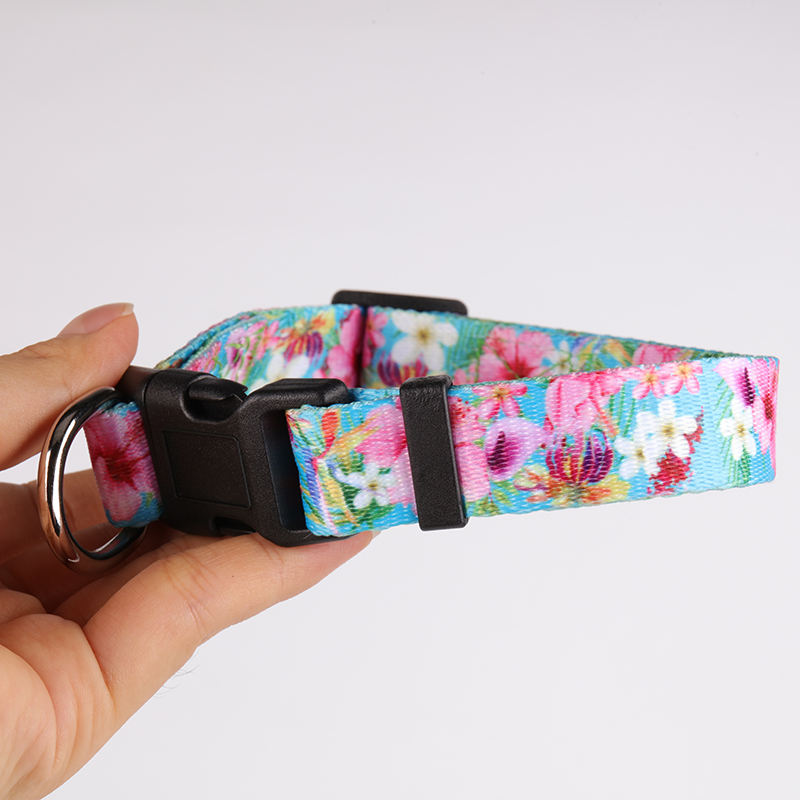 OKEYPETS - OKEYPETS 로고 프리미엄 금속 버클 헤비듀티 프린트 커스텀 디자이너 강아지 목줄 애완동물 목줄 14