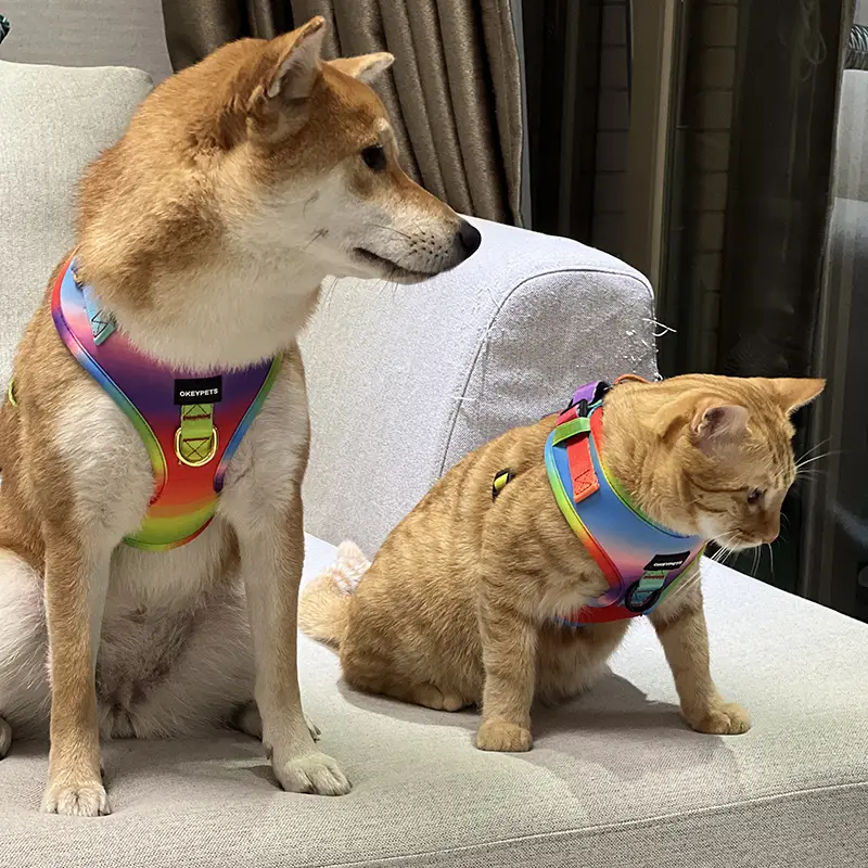 OKEYPETS - 무료 디자인 패션 승화 패턴 로고 네오프렌 통기성 메쉬 안전 강아지 리프트 서포트 강아지 스텝인 하네스 애완동물 하네스 1