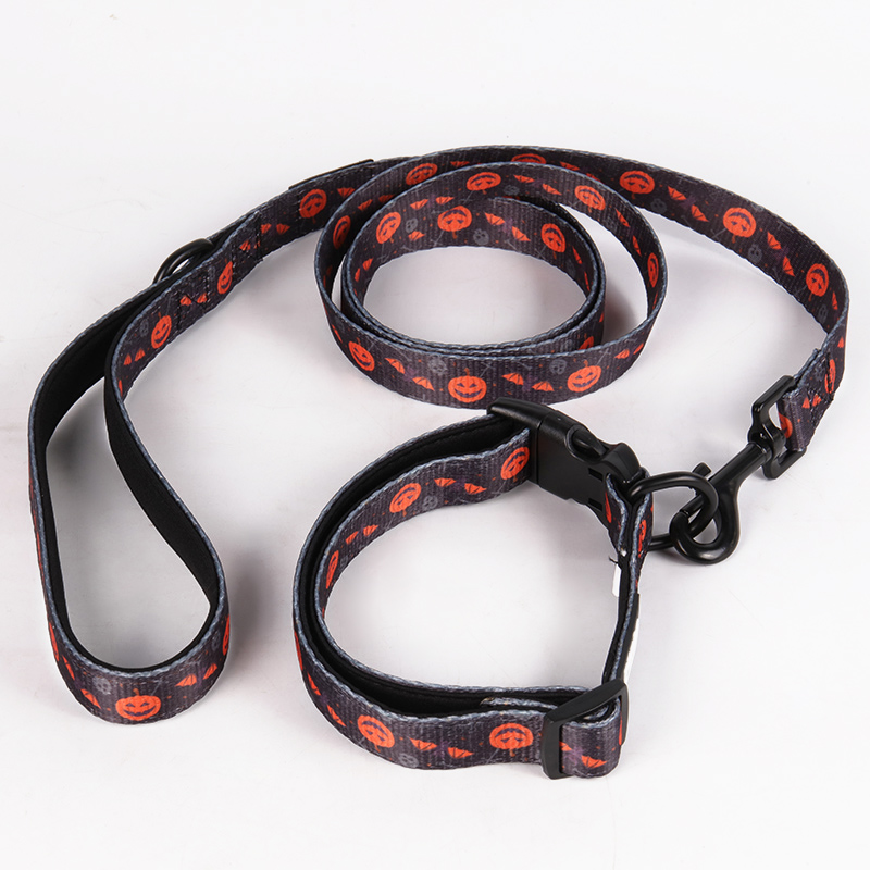 OKEYPETS Collier et laisse pour chien en néoprène sublimé avec quincaillerie de qualité supérieure et boucle de sécurité 17