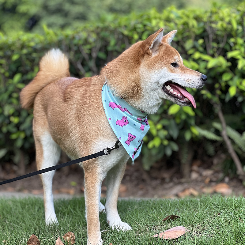 OKEYPETS 최소 주문 수량 적은 목도리, 경량 폴리에스터 소재, 세탁 가능, 타탄 체크 무늬, 대형견용 삼각형 반다나, 애완동물용 반다나 8