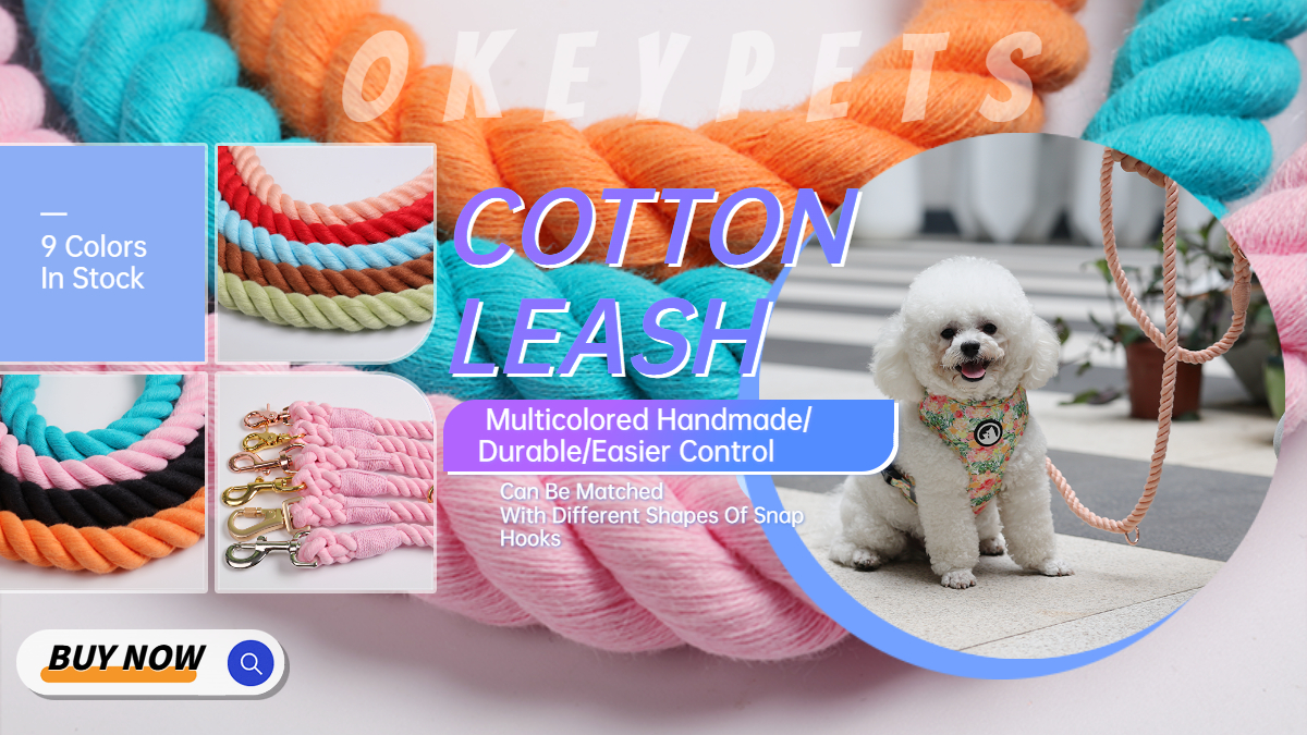 Laisse personnalisée en coton résistant, colorée et ajustable, pour chien, idéale pour la promenade. 8