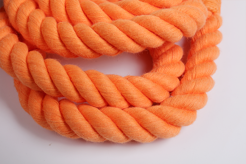 OKEYPETS - Laisse pour chien en coton, robuste et durable, avec crochet pivotant en alliage de zinc et cordelette en coton, au design tendance. 10