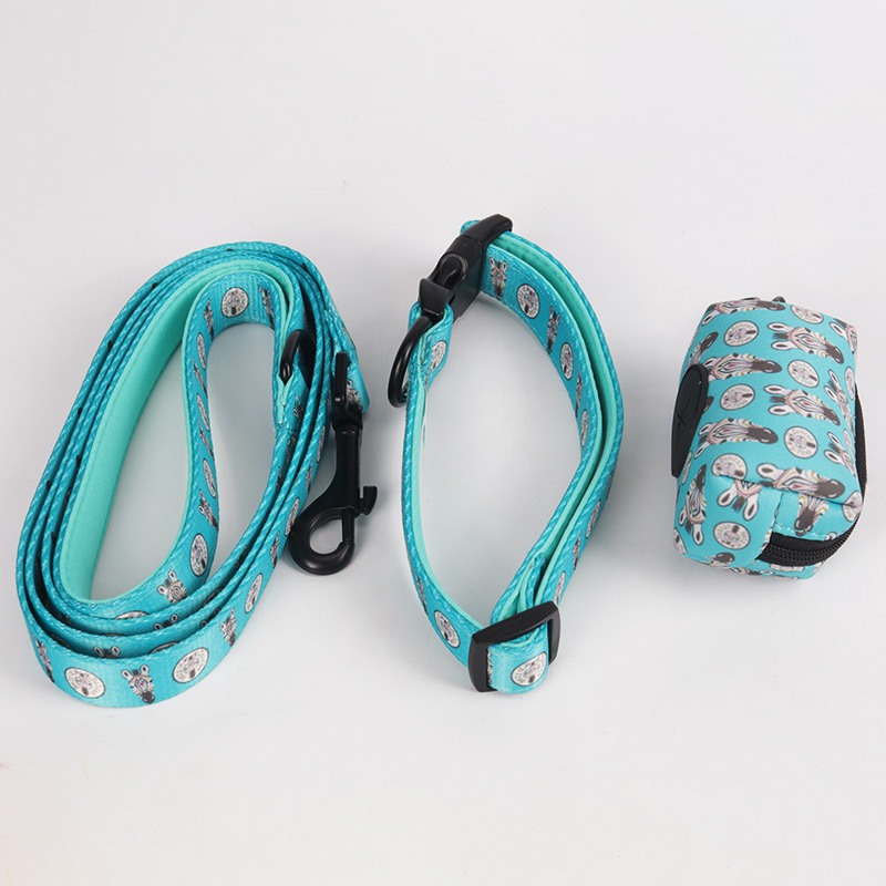 OKEYPETS Velkoobchodní ekologický sublimační tisk s bočním uvolněním a luxusní obojek pro psy a domácí mazlíčky 13