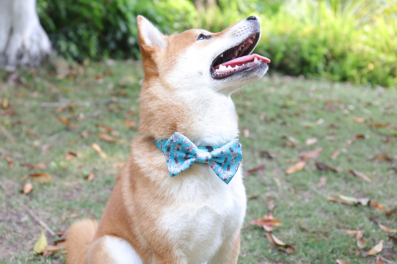 OKEYPETS Velkoobchodní ekologický sublimační tisk s bočním uvolněním a luxusní obojek pro psy a domácí mazlíčky 6