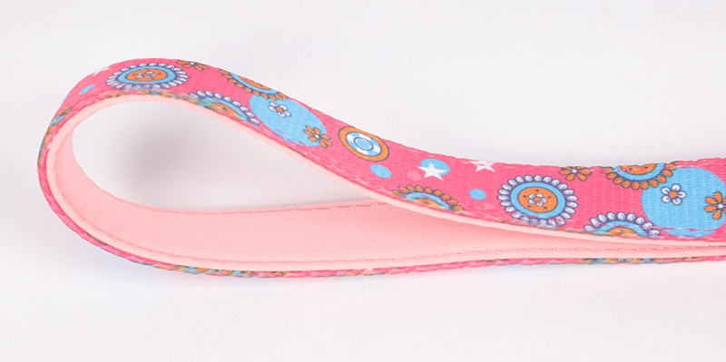 OKEYPETS Laisse pour chien en polyester respirant, durable, multicolore et à prix compétitif, personnalisable 10