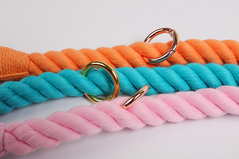 Laisse personnalisée en coton résistant, colorée et ajustable, pour chien, idéale pour la promenade. 13