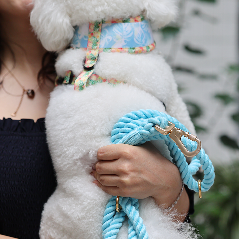 OKEYPETS - OKEYPETS Produttore Guinzaglio perfetto per cani, nuovo design colorato, accessori per cani da corsa, guinzagli per animali domestici 9