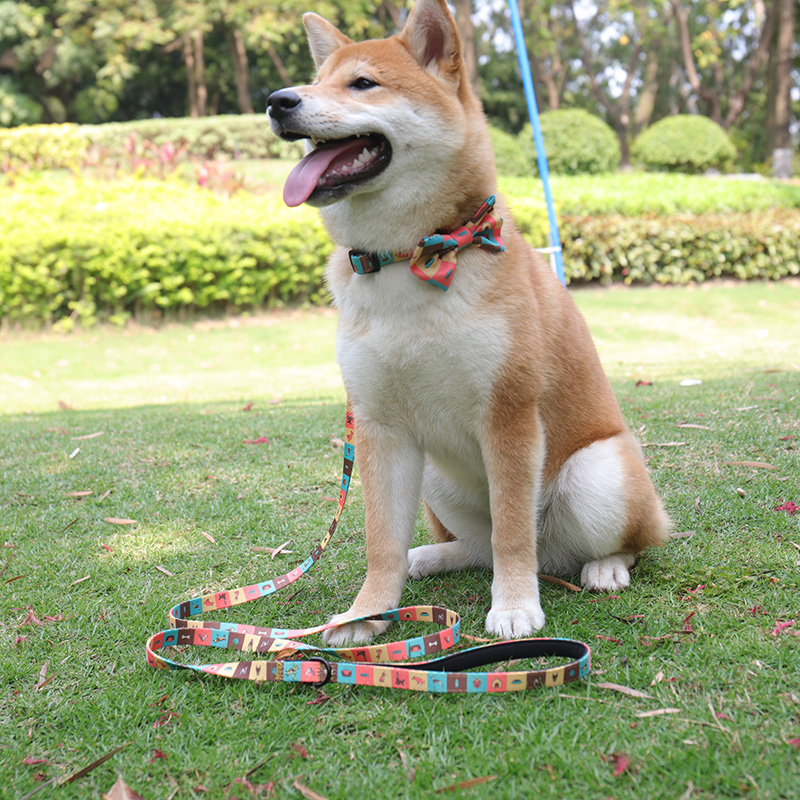 OKEYPETS - OKEYPETS Unique Dog Collar Vest Pet Safety Sublimation Heavy Duty Print Eco Friendly Cute Pet Collars Neoprene Dog Collar 8