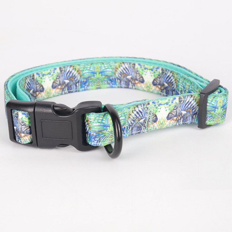 OKEYPETS - Ensemble collier et laisse pour chien OKEYPETS en polyester doux et confortable avec boucle de dégagement rapide et harnais réglable. 12