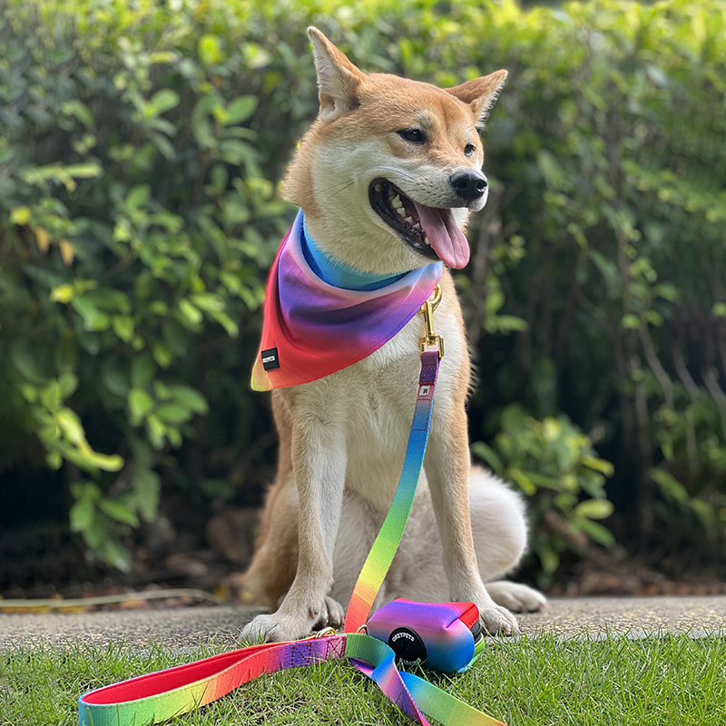 OKEYPETS - Scairf peataí triantáin le prionta saincheaptha lógó OKEYPETS, poileistear ildaite gleoite, plain inchúlaithe, triantán, bandana peataí 8