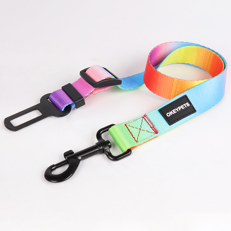 OKEYPETS - Laisse pour chien en polyester écologique avec mousqueton, design élégant et tendance, vendue en gros. 21