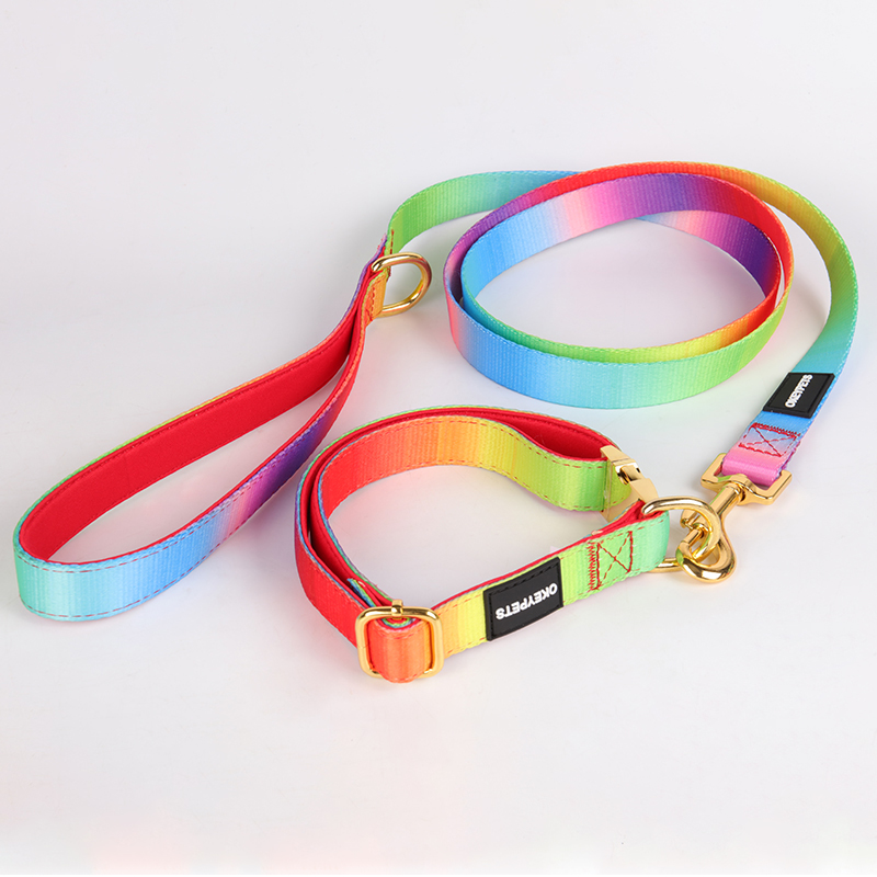 Collier pour chien OKEYPETS de luxe en polyester imprimé, personnalisable, avec nœud papillon et laisse. 23