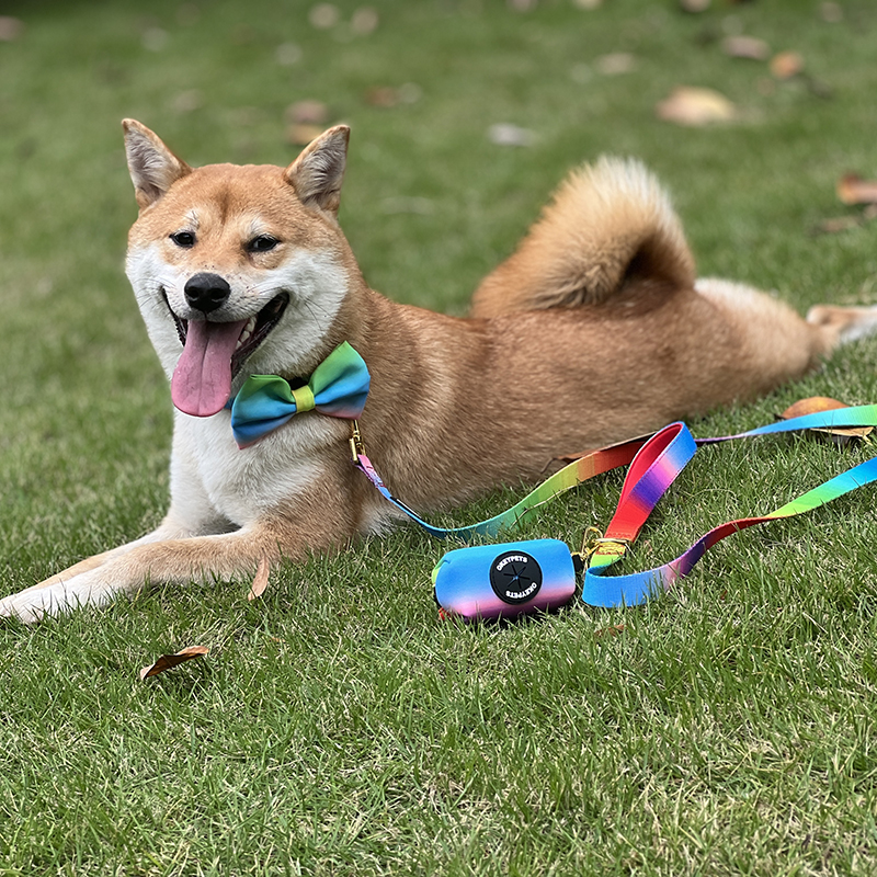 OKEYPETS - OKEYPETS Unikátny polyesterový neoprénový dvojvrstvový obojok pre psa s mäkkou a bezpečnostnou potlačou, roztomilý motýlik s vodítkom, sada obojku pre domáce zvieratá, vodítka a postroja 8