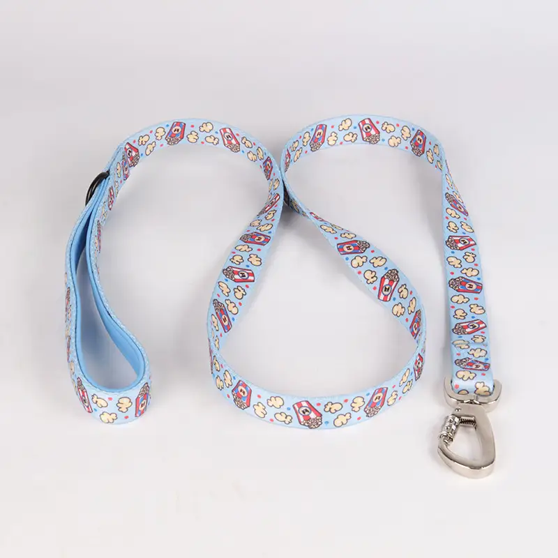 OKEYPETS - OKEYPETS Promocyjna smycz dla psa z klamrą OEM, luksusowa smycz do biegania i chodzenia z prywatną marką dla psa 1