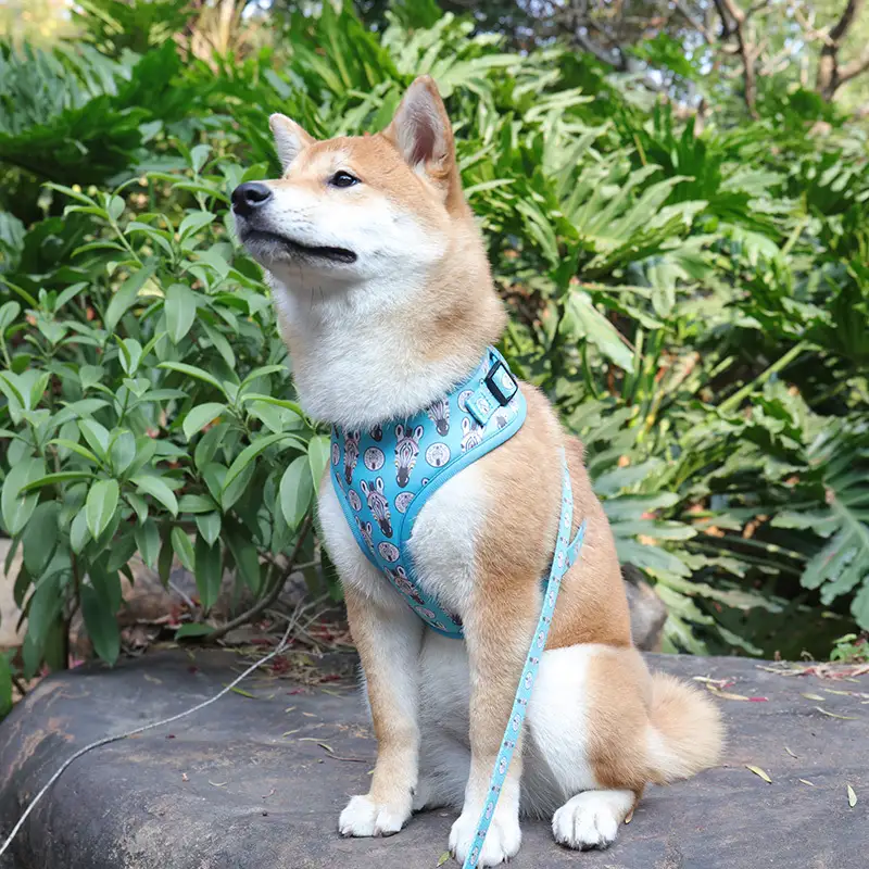 OKEYPETS - Acessórios para Cães OKEYPETS: Colete Retrátil Colorido com Fivela de Plástico e Estampa por Sublimação. 1