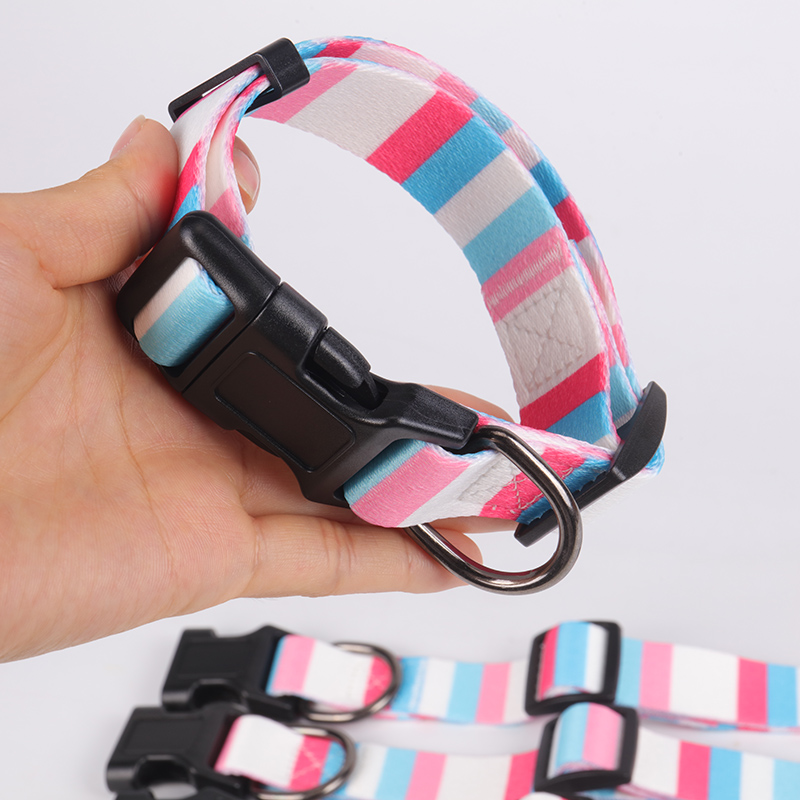 OKEYPETS - Fabricants de colliers pour chiens : colliers ajustables, résistants, écologiques et personnalisés. 8