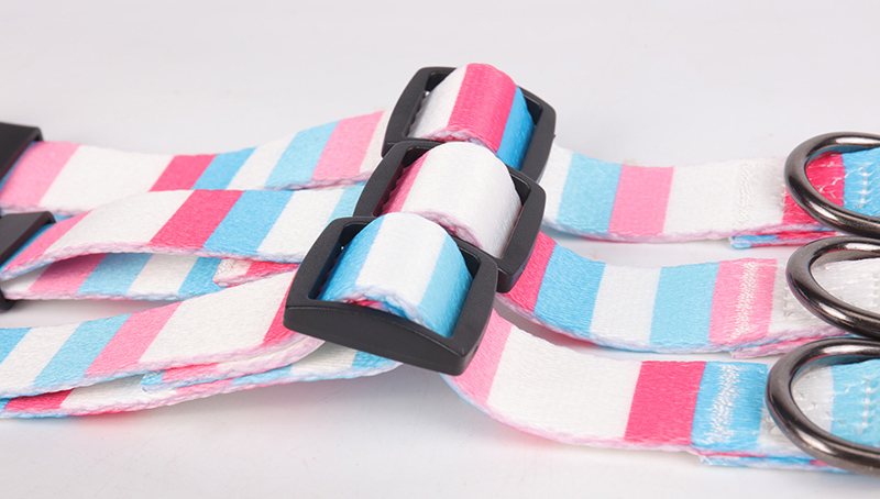 OKEYPETS - Fabricants de colliers pour chiens : colliers ajustables, résistants, écologiques et personnalisés. 12