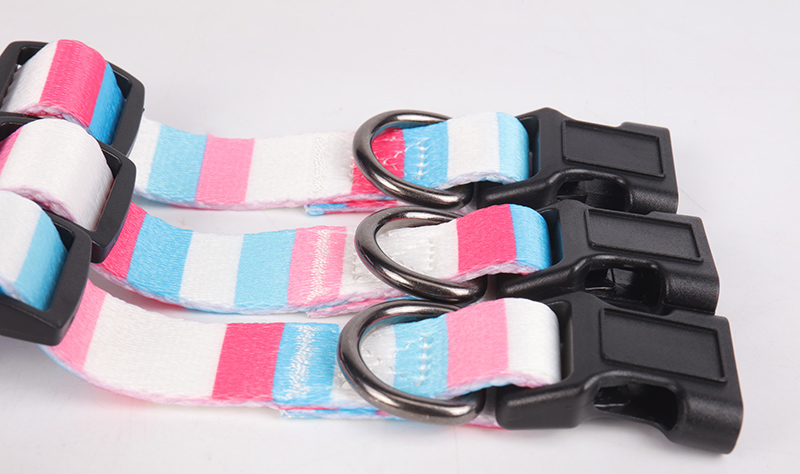 OKEYPETS - Fabricants de colliers pour chiens : colliers ajustables, résistants, écologiques et personnalisés. 11