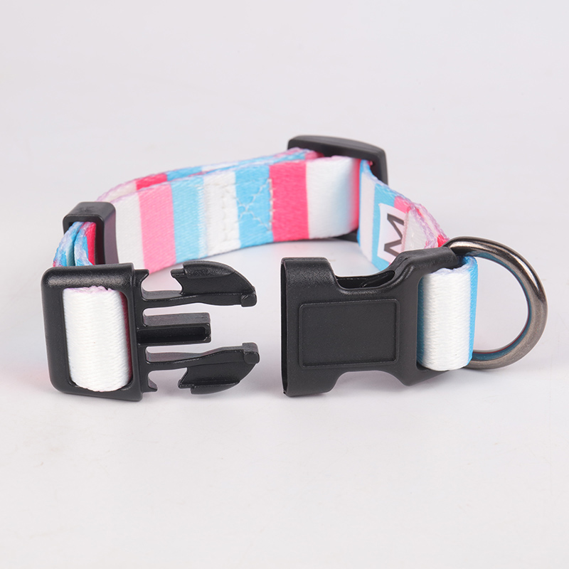 OKEYPETS - Fabricants de colliers pour chiens : colliers ajustables, résistants, écologiques et personnalisés. 13