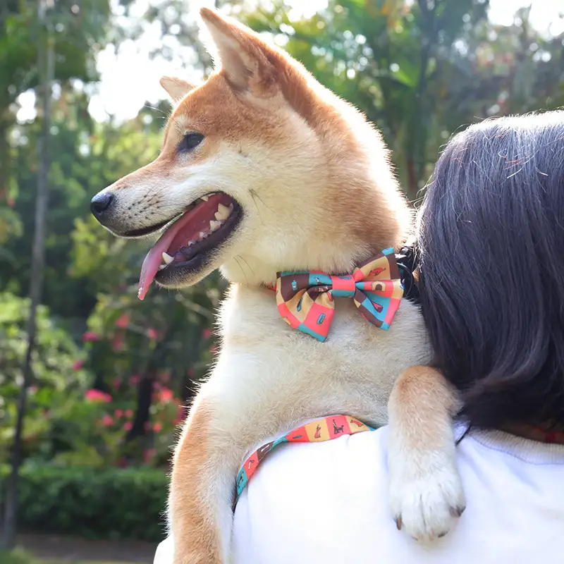 OKEYPETS - OKEYPETS Personalizovaný ekologický reflexní obojek pro domácí mazlíčky z polyesteru s odnímatelnou přezkou 1