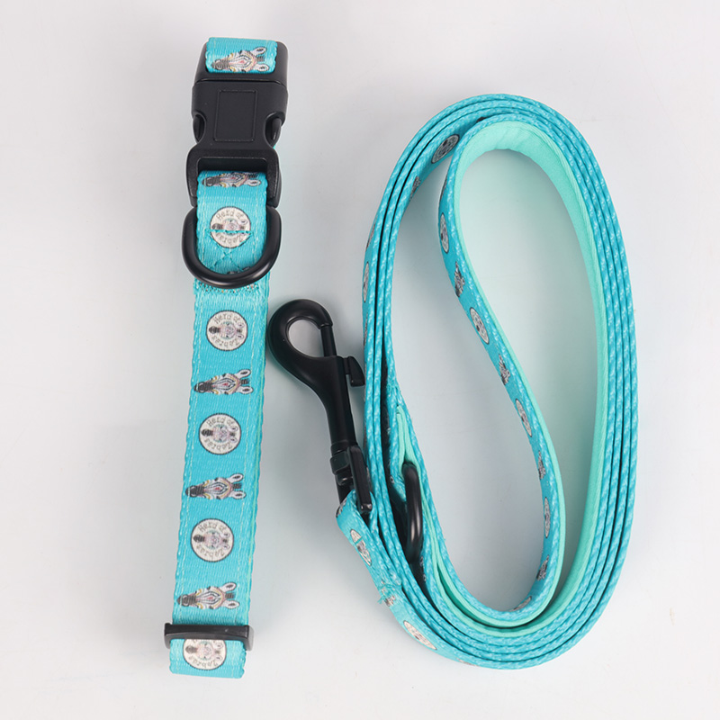 OKEYPETS - Ensemble collier et laisse pour chien OKEYPETS en polyester doux et confortable avec boucle de dégagement rapide et harnais réglable. 18