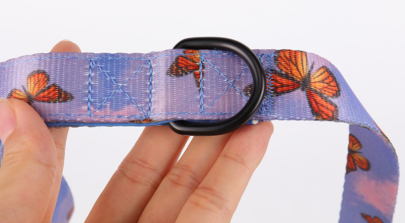 OKEYPETS Collier et laisse pour chien en néoprène sublimé avec quincaillerie de qualité supérieure et boucle de sécurité 16