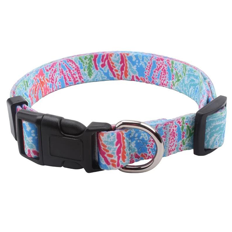 OKEYPETS - OKEYPETS Personalized Custom Pattern Fashion Detachable Sustainable Dog Collars Pet Collar 9