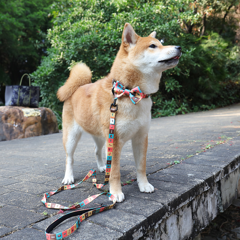 OKEYPETS - OKEYPETS Súkromná značka Unikátny vzor Dizajn Odolný luxusný vzor Sada vodítok pre psov s obojkom pre mliečne výrobky Použitie Sada obojku pre domáce zvieratá Vodítko/postroj pre psa 8