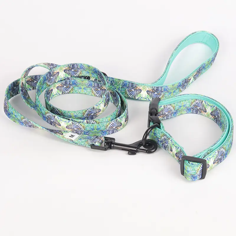 OKEYPETS - Ensemble collier et laisse pour chien OKEYPETS en polyester doux et confortable avec boucle de dégagement rapide et harnais réglable. 1