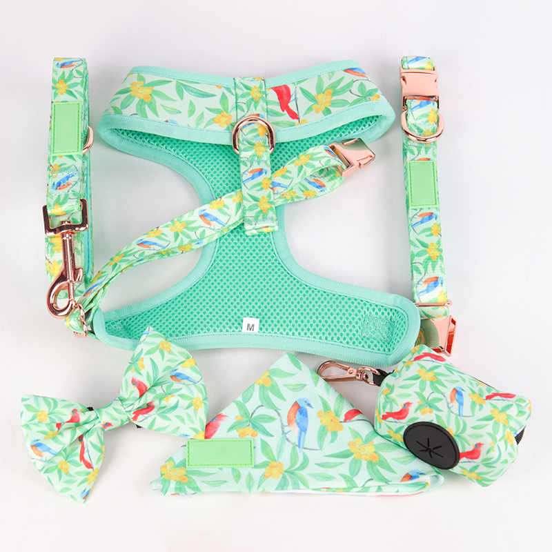 OKEYPETS - Ensemble collier et laisse pour chien OKEYPETS en polyester doux et confortable avec boucle de dégagement rapide et harnais réglable. 24