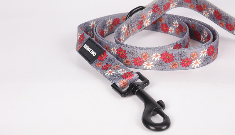 OKEYPETS Laisse pour chien en néoprène, longueur ajustable et personnalisable, sécurité et respect de l'environnement. 11