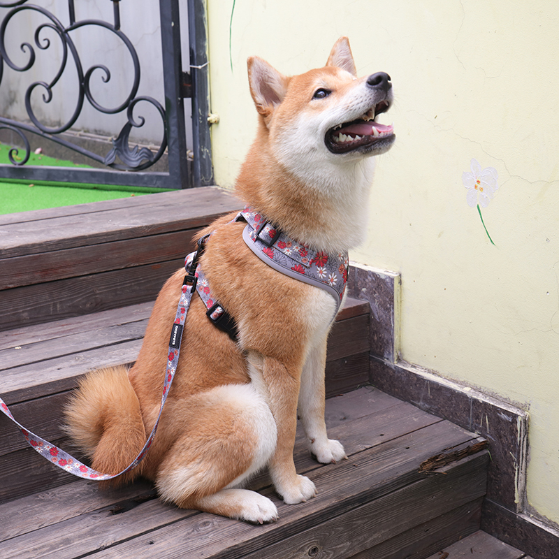 OKEYPETS - OKEYPETS Veľkoobchodná potlač sublimácie, obojok pre psov, vodítko a postroj s motýlikom, vrecko na hovienka, prenosné príslušenstvo, sada vodítok a postrojov na obojok pre domáce zvieratá 8