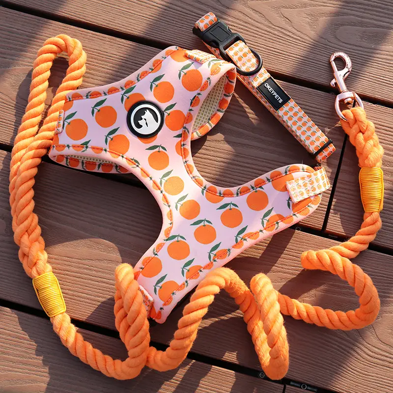 OKEYPETS - Okeypets kültéri divatos lópóráz kötéllel, nagy teherbírású, többszínű, erős pamut kisállat póráz kutyakötéllel 1