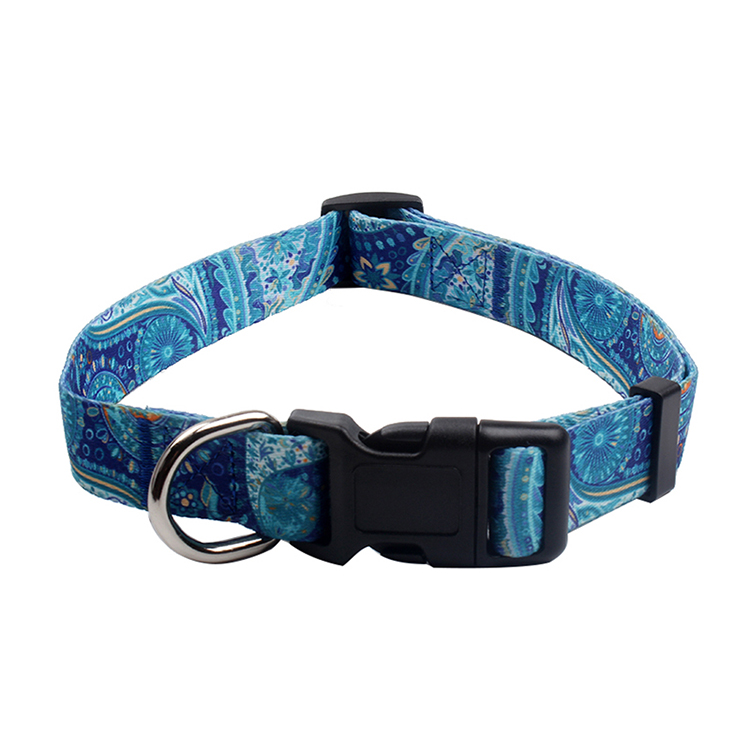 OKEYPETS - Fabrikspris Lav MOQ Designer Professionelle Halsbånd til Hvalpe Til Små Hunde Kæledyrshalsbånd 9