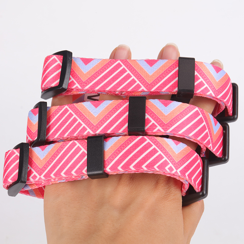 OKEYPETS Denný produkt pre domáce zvieratá Súkromná značka Pohodlné luxusné vonkajšie prémiové vodítko a obojok pre psov Obojok pre domáce zvieratá 10