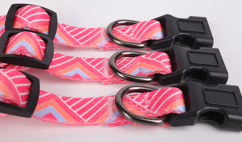 OKEYPETS Denný produkt pre domáce zvieratá Súkromná značka Pohodlné luxusné vonkajšie prémiové vodítko a obojok pre psov Obojok pre domáce zvieratá 13