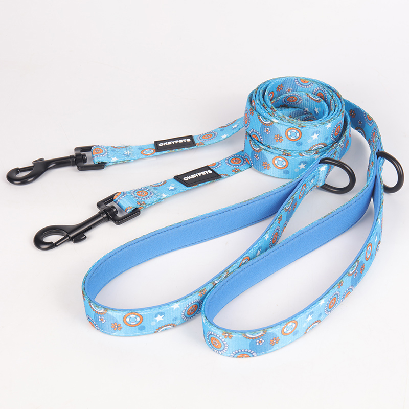 OKEYPETS Accessoires mignons et résistants grâce à la technologie spéciale de sublimation colorée pour chien 7