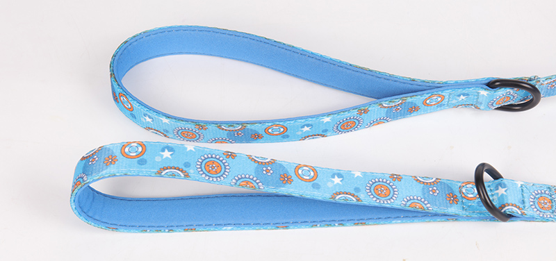 OKEYPETS Accessoires mignons et résistants grâce à la technologie spéciale de sublimation colorée pour chien 10