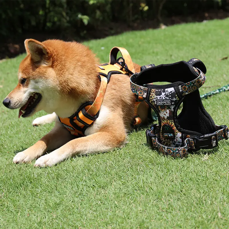 OKEYPETS - Harnais pour chien d'extérieur résistant, anti-fugue et réglable, avec reflets, idéal pour l'entraînement. 1